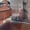 Luigi Boccherini  Complete Violin Sonatas, Vol. 1